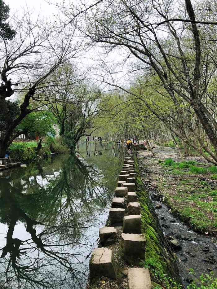 西溪南古村落景区-"绿树成荫小河流水,适合夏天淌水树下发呆,.