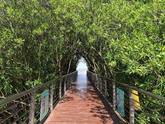 -上海吴淞炮台湾国家湿地公园