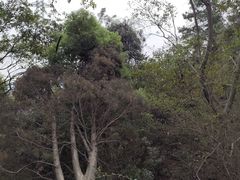 -青龙山国家森林公园