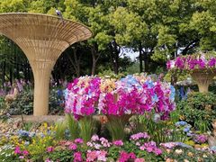 -上海滨江森林公园