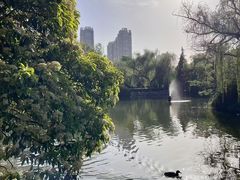 -西苑公园