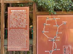 -大岭沟猕猴桃谷风景区