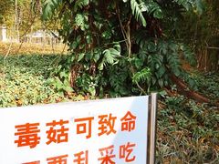-晓港公园