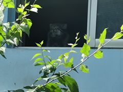 -青藏高原野生动物园