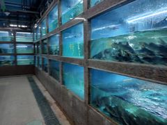 水产区-渔人湾码头海鲜市场负二楼