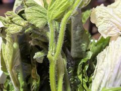 -山菌美食苑(振兴路店)