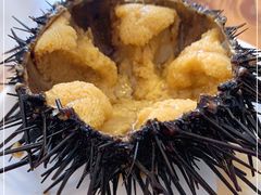 -海胆小馆(东北水饺·春柳店)