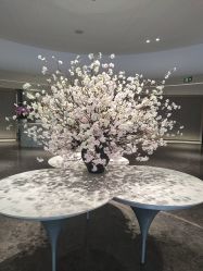 -广州美莱医疗美容医院