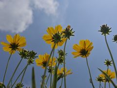 -济南国际园博园