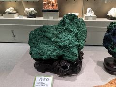 -北京中医药大学-中医药博物馆