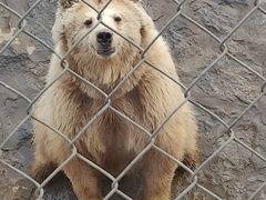 -石家庄市动物园