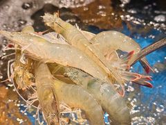 -亚马逊蒸汽活海鲜自助(LCM置汇旭辉广场店)