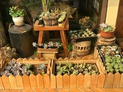-一米阳光咖啡店(百通尚风尚水店)