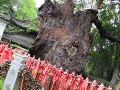 -台州府城(江南长城)