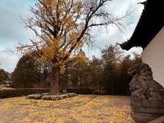 -狼山风景名胜区