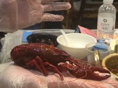 靓靓蒸虾-靓靓蒸虾(中山公园店)