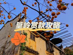 -篁岭景区
