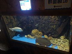 -华夏文旅海洋公园