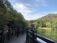 -白马涧龙池景区