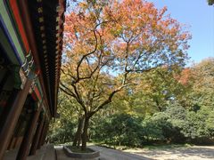 -灵谷景区