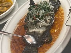 -老洋房花园饭店(绍兴路店)