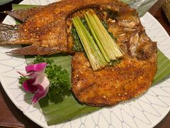 -紫滇源云南生态菜(丹凤街店)