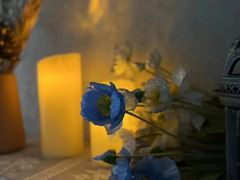 -梦碟·情景SPA•龍筋•瑶浴(龙光玖钻店)