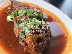 -野菌皇海景野生菌火锅(滨海大道店)