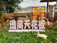 -伴山茶苑·围炉煮茶