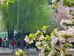 -元大都城垣遗址公园