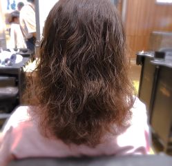 -Mentor Hair Salon