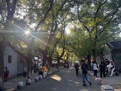 -北京国子监胡同