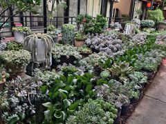 -山菌美食苑(振兴路店)