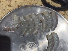 -姜胖胖无限自助烤肉(凯德天府店)