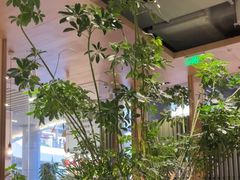 -gaga(深圳福田星河COCO Park店)