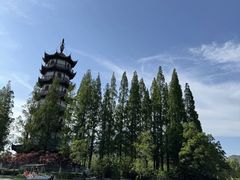 -桃花岛公园