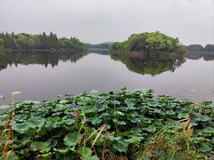 -上海市保健医疗中心