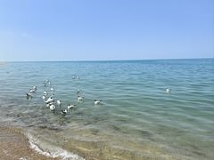 -青海湖二郎剑景区