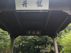 -龙井村