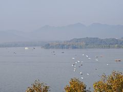 -杭州君悦酒店