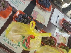 -马陆小张葡萄园农家乐