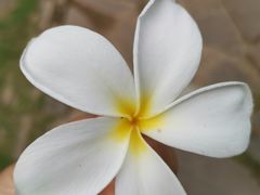 -君之狮子山·轻糖烘焙(松江印象城店)