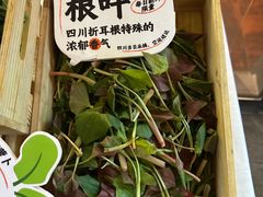 -蓉城小馆(科兴店)