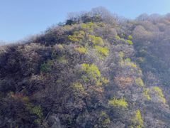 -抱龙峪