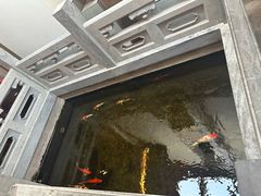 -鲤院·新中式美学·庭院餐厅(夫子庙店)