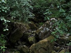-西安祥峪森林公园