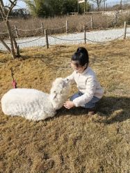 -DORA kids 朵拉儿童摄影花园店