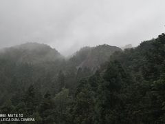 -玉苍山国家森林公园