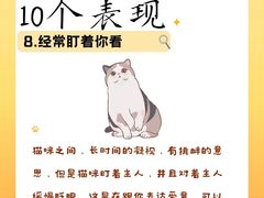 -荔康动物医院(康王北路店)