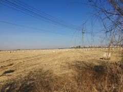 -天发长铁锅炖(王秀村店)